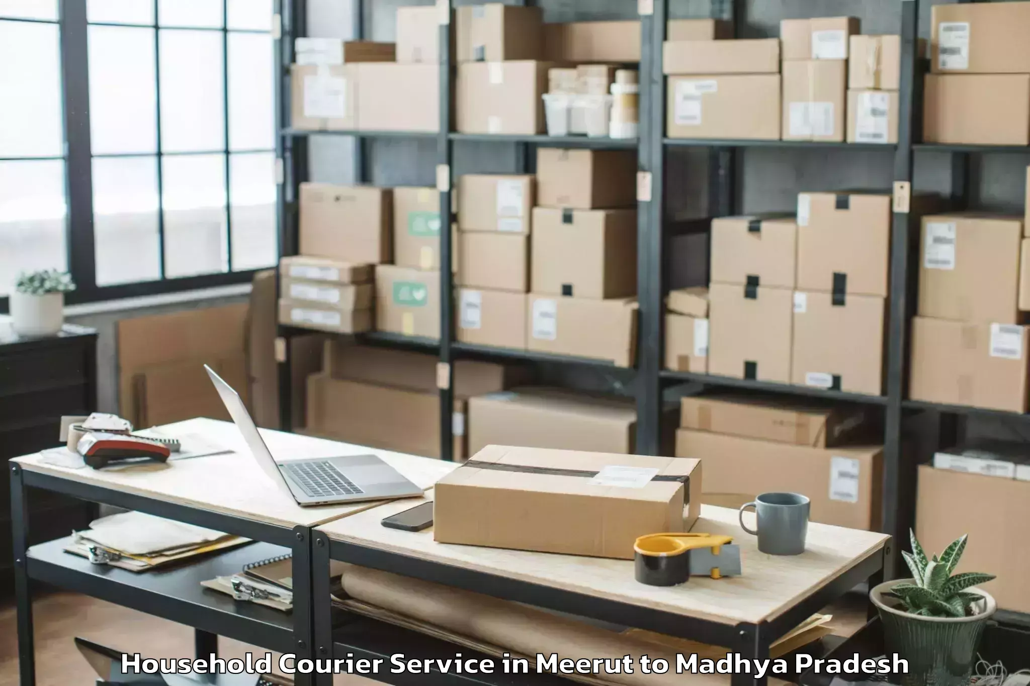 Expert Meerut to Dhimarkheda Household Courier